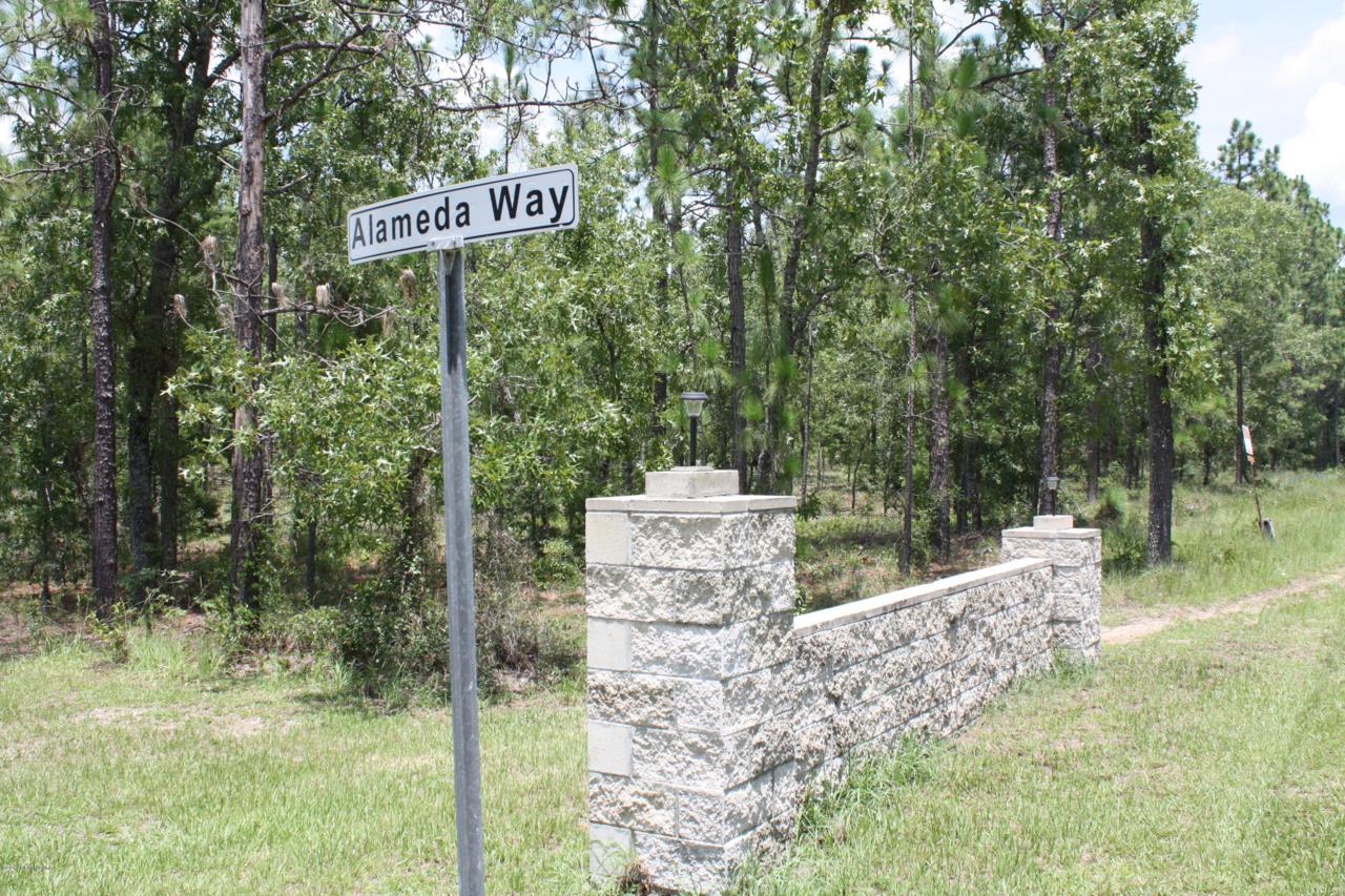 00 Alameda Way - Photo 1