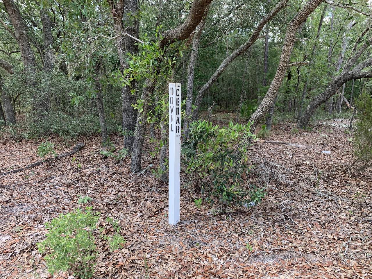 LOT 1 Cedar Trl - Photo 1