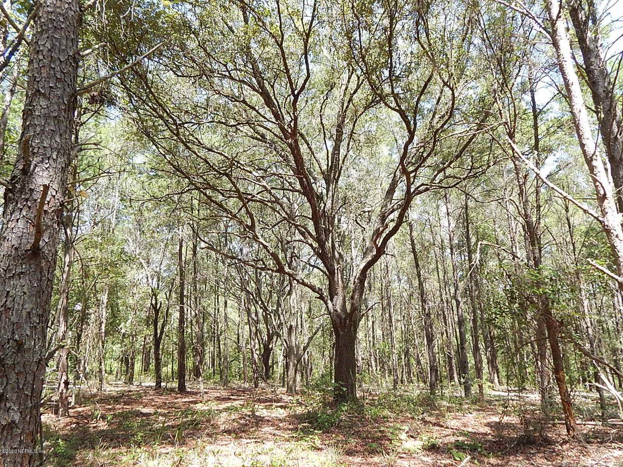 0 Orange Tree St - Photo 1