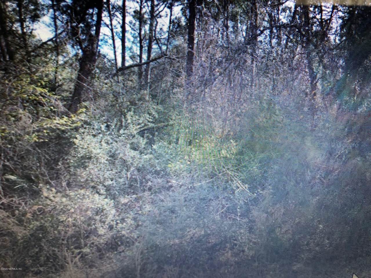 0 Nettles Rd - Photo 1