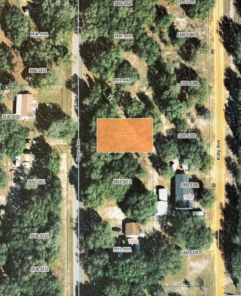00 Dawn Ave - Photo 1