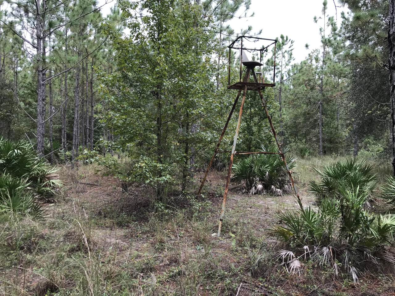 265 Eagle Creek Rd - Photo 1