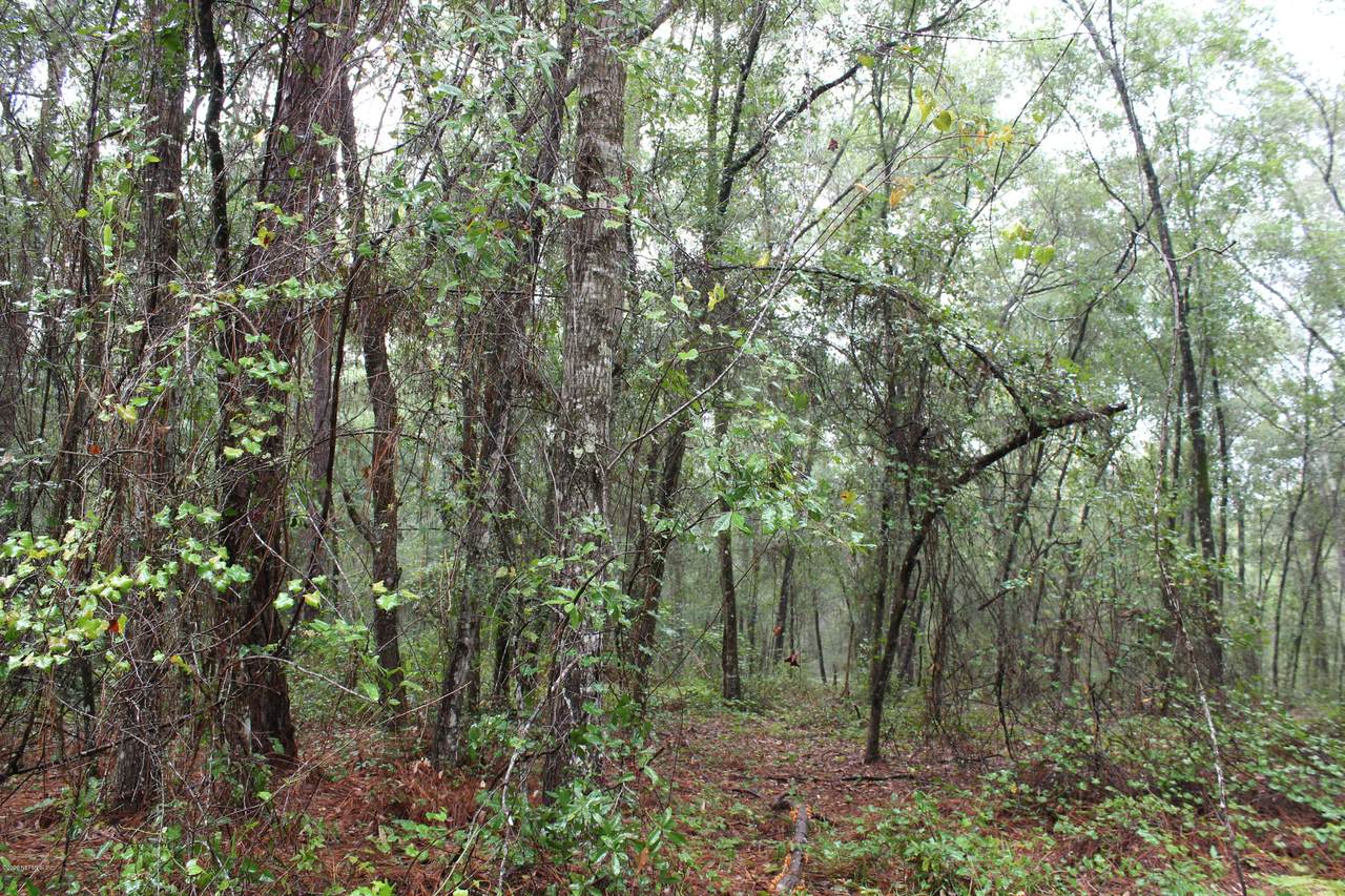 6209 Co Rd 214 - Photo 1