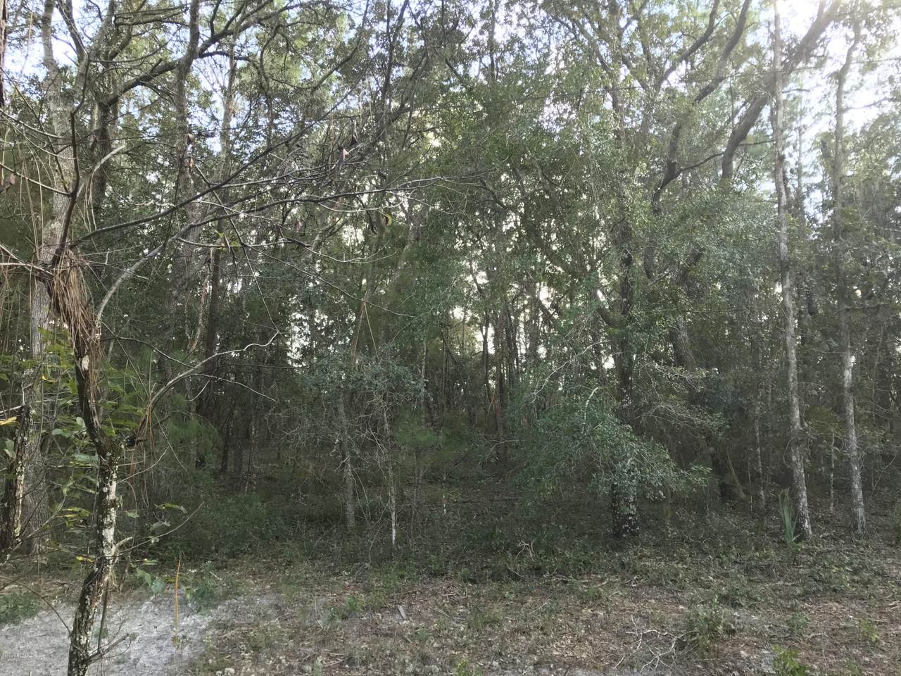113 Colorado St - Photo 1