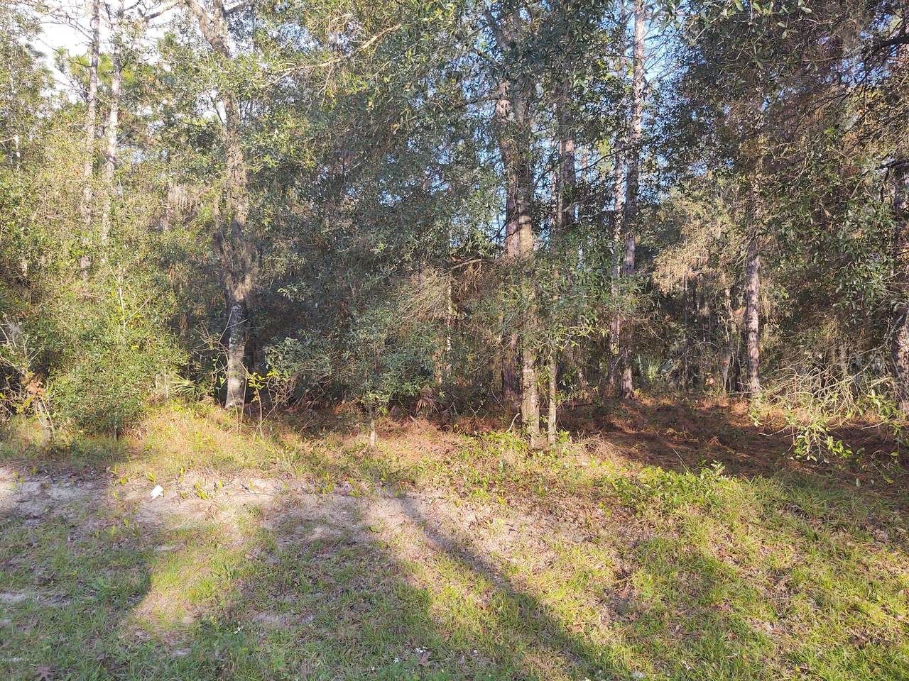 0050 Dawn Ave - Photo 1