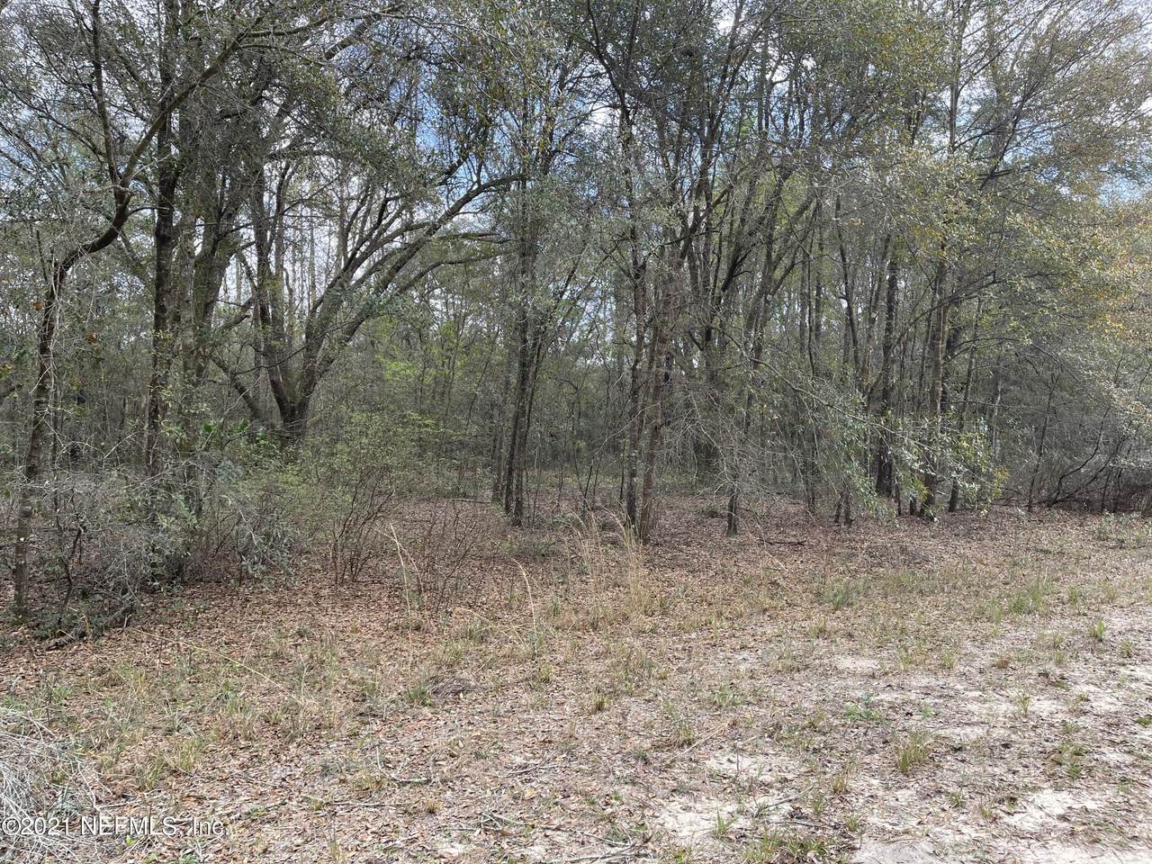 0280 Michael Ave - Photo 1