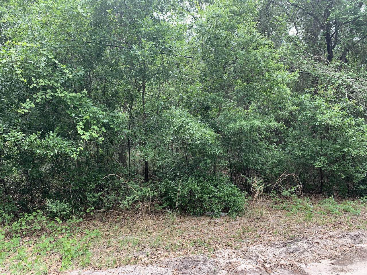 5673 Caribbean Cir - Photo 1