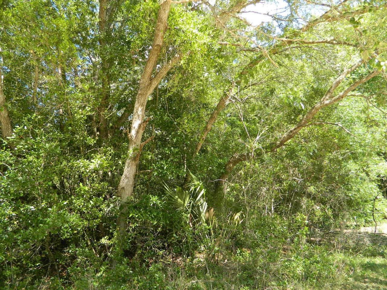 0 Rabbet Track Rd - Photo 1