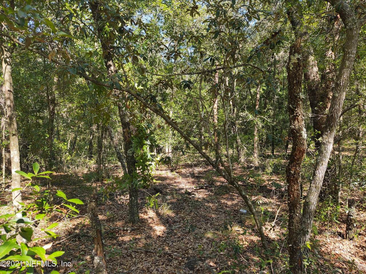 0 Duval Dr - Photo 1