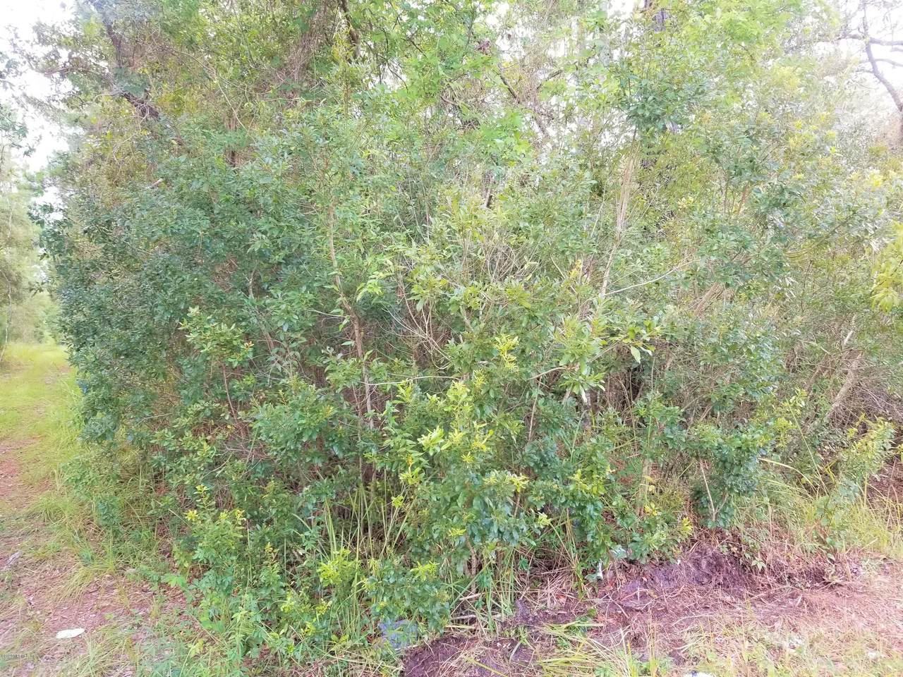 226 Pheasant Rd - Photo 1