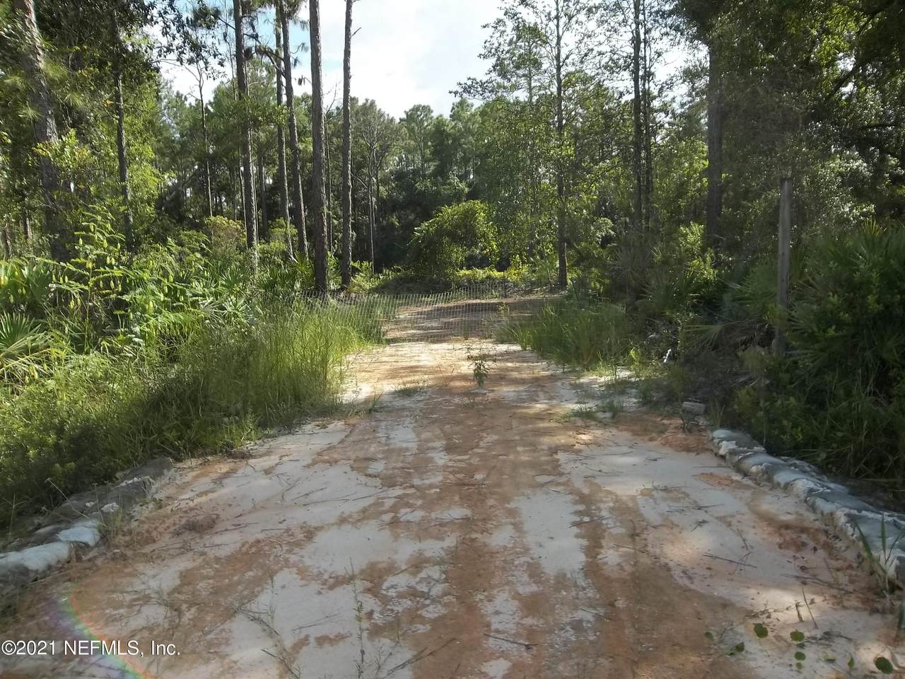 307 Palmway Dr - Photo 1