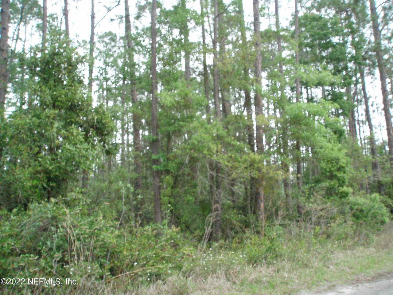 106 Susan Ln - Photo 1