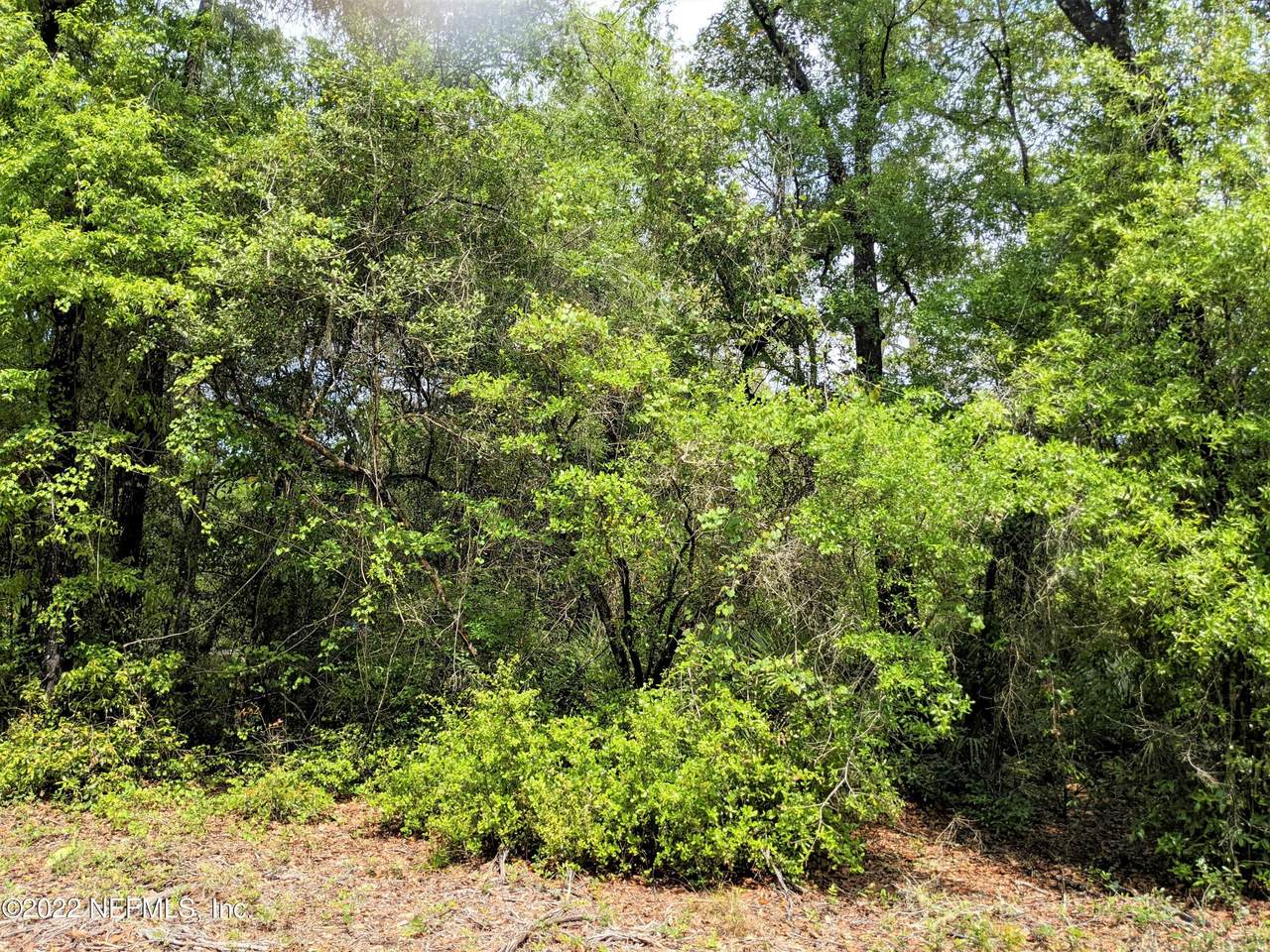 0 Almond Ct - Photo 1