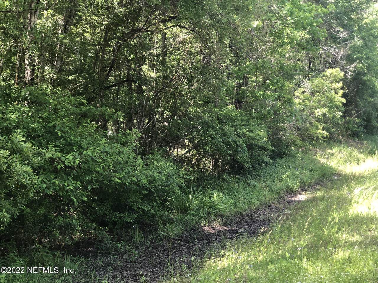 9865 Deep Creek Blvd - Photo 1