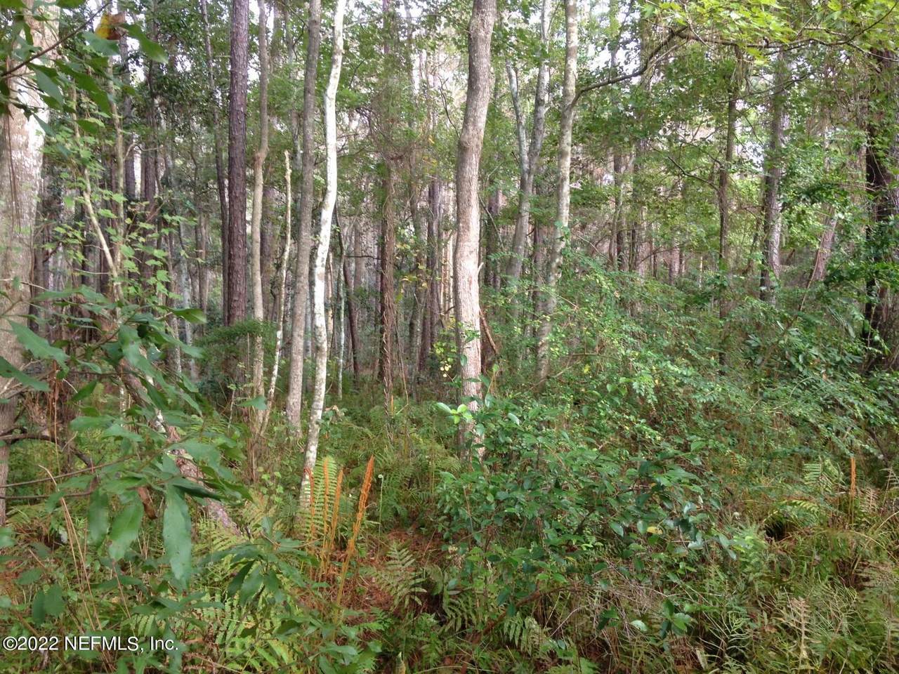 0 Carrol Rd - Photo 1