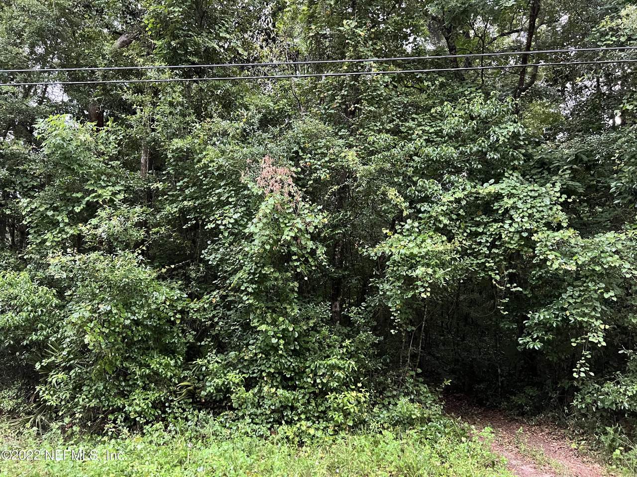 2905 Guava Ct - Photo 1