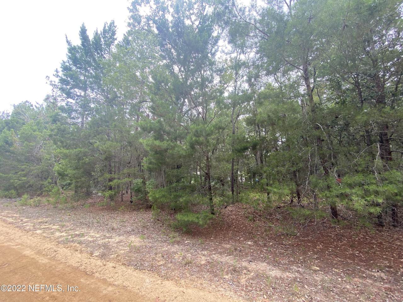 0 Norman Ave - Photo 1