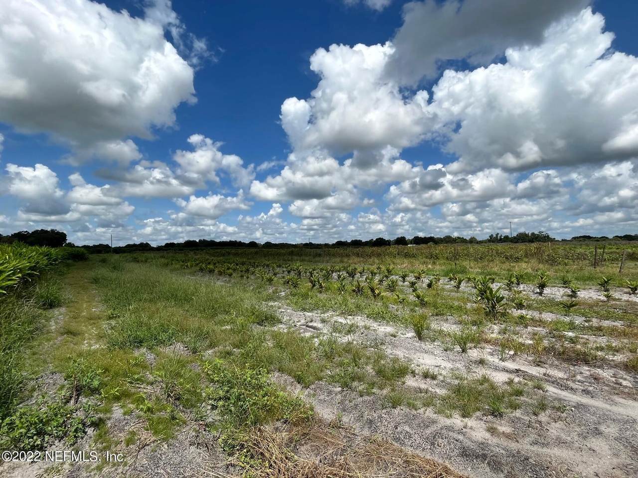 4277 Mineral Branch Rd - Photo 1