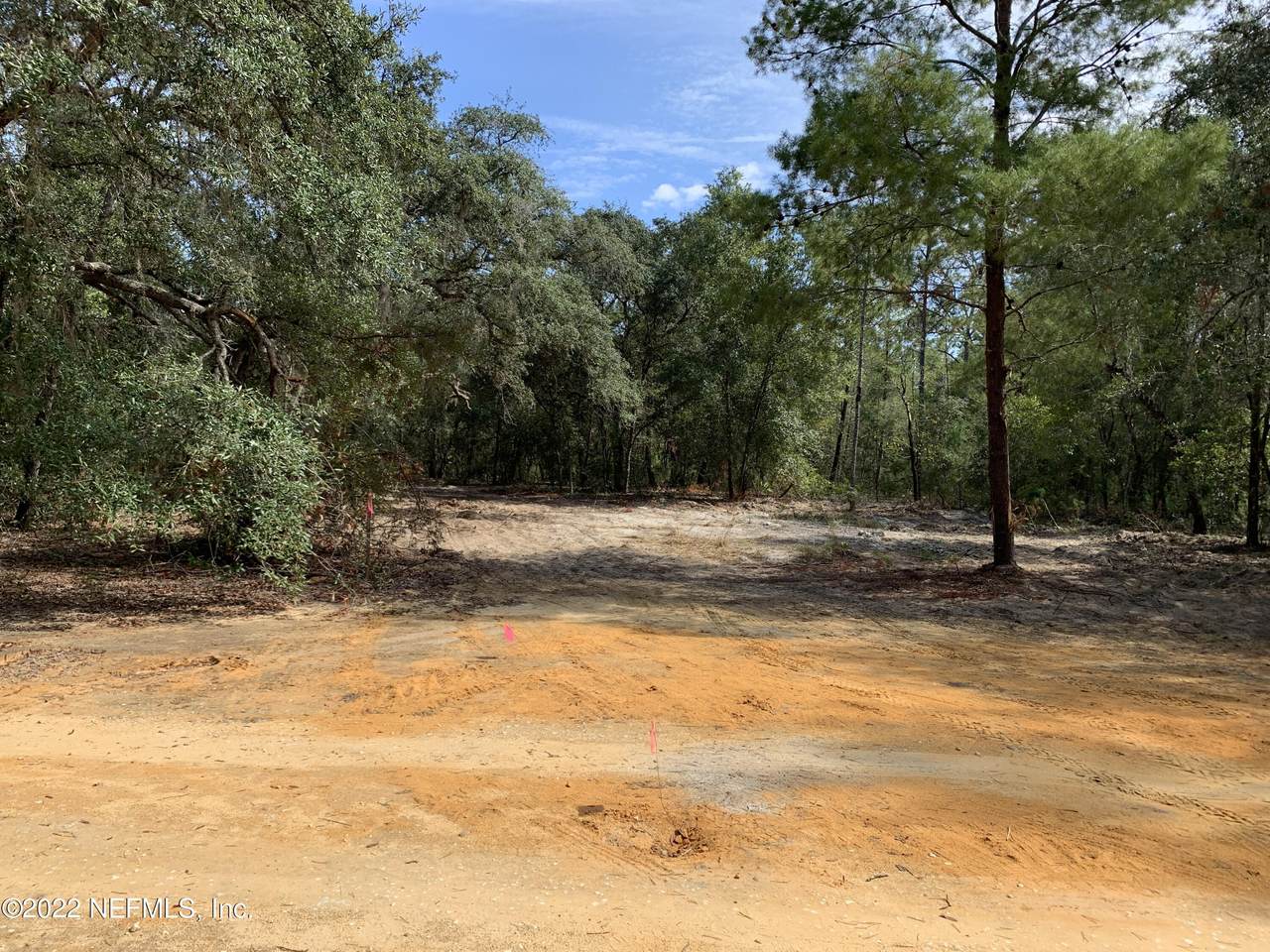 0000 Periwinkle Ct - Photo 1