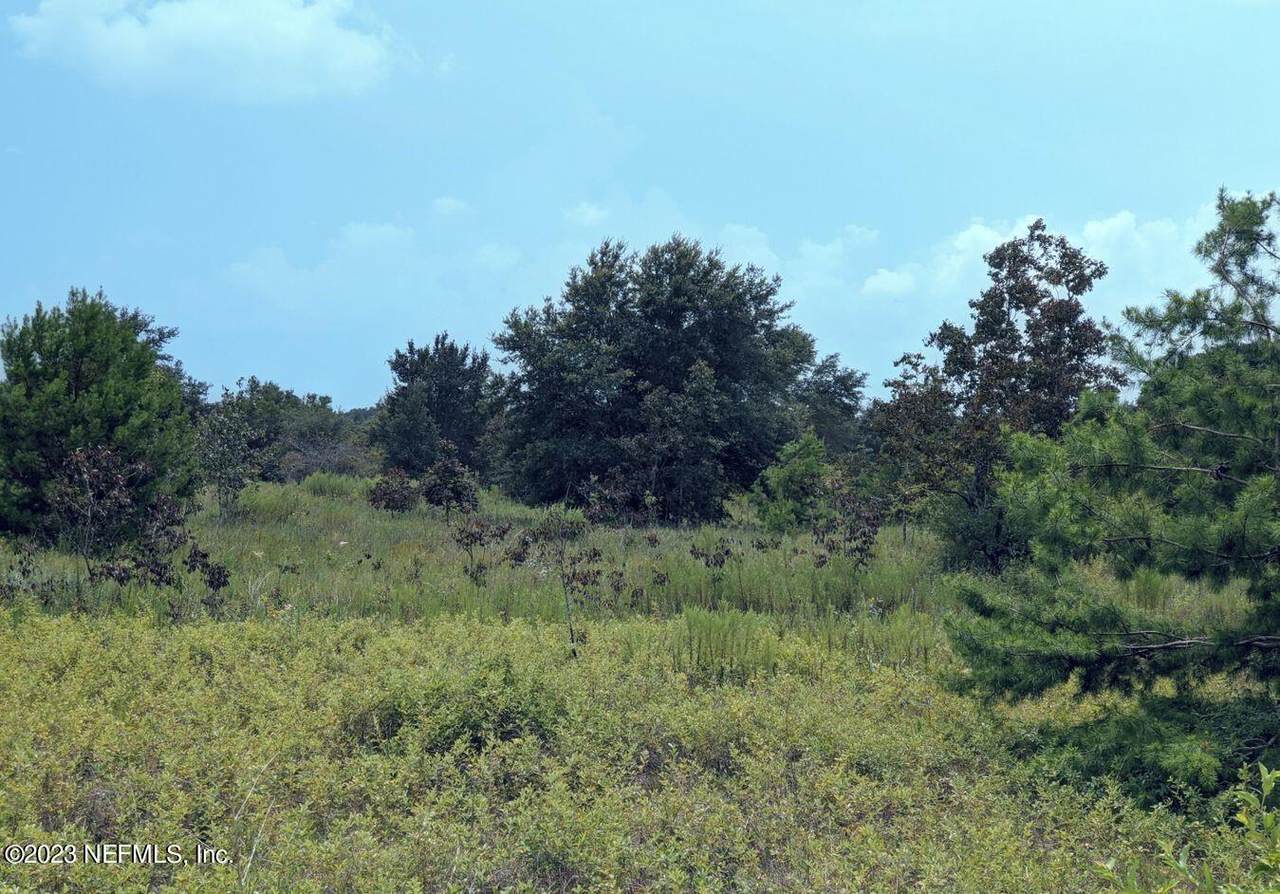 5871 Sequoia Rd - Photo 1