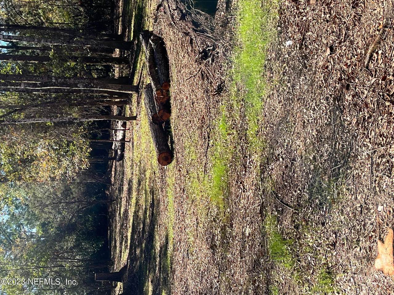 117 Doby Dr - Photo 1