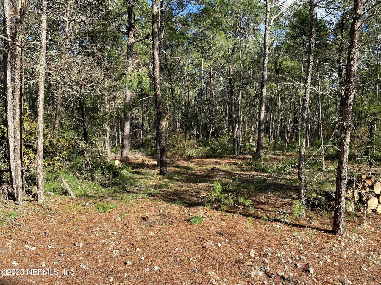 120 Lura Ln - Photo 1