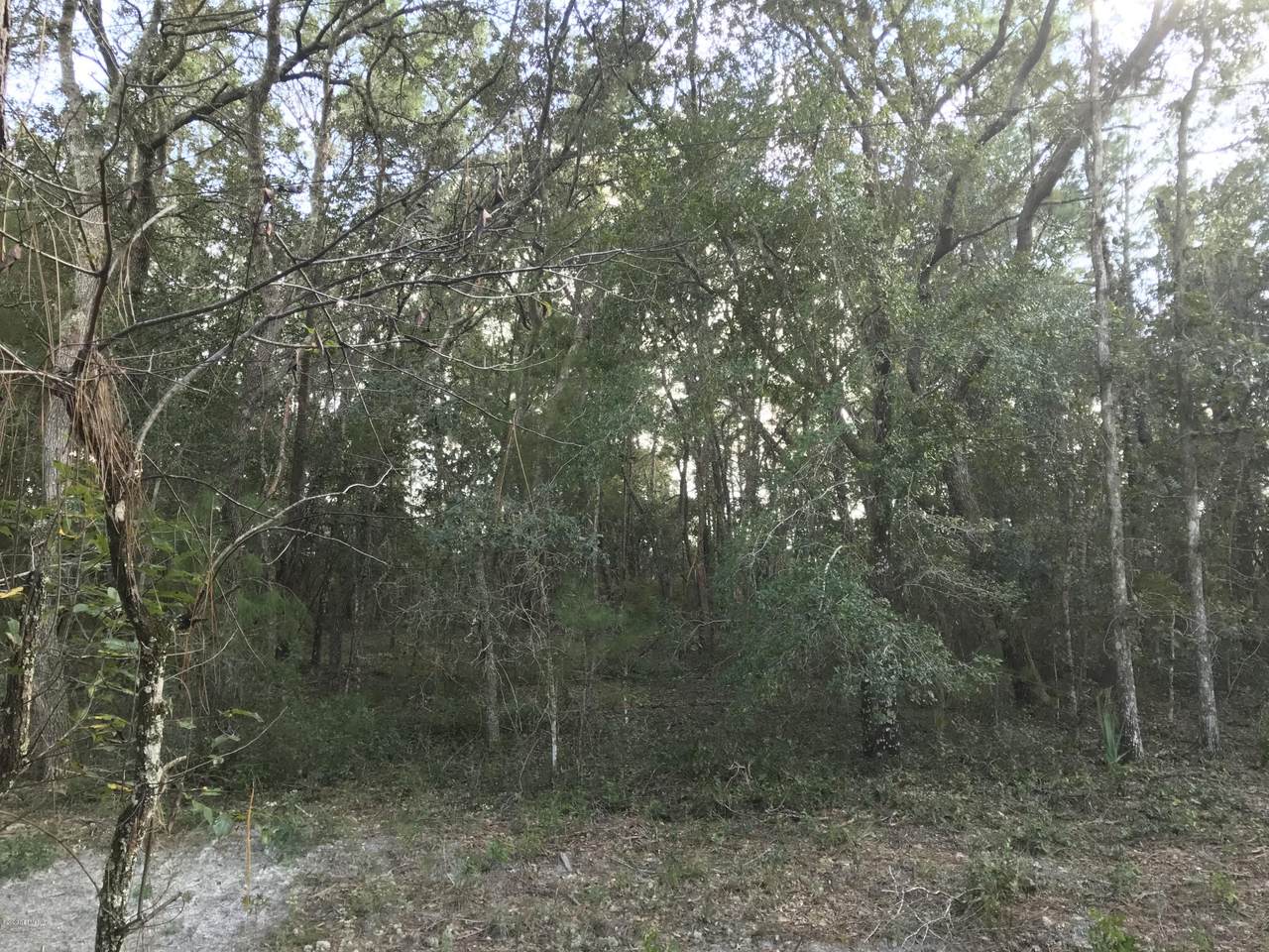 113 Colorado St - Photo 1