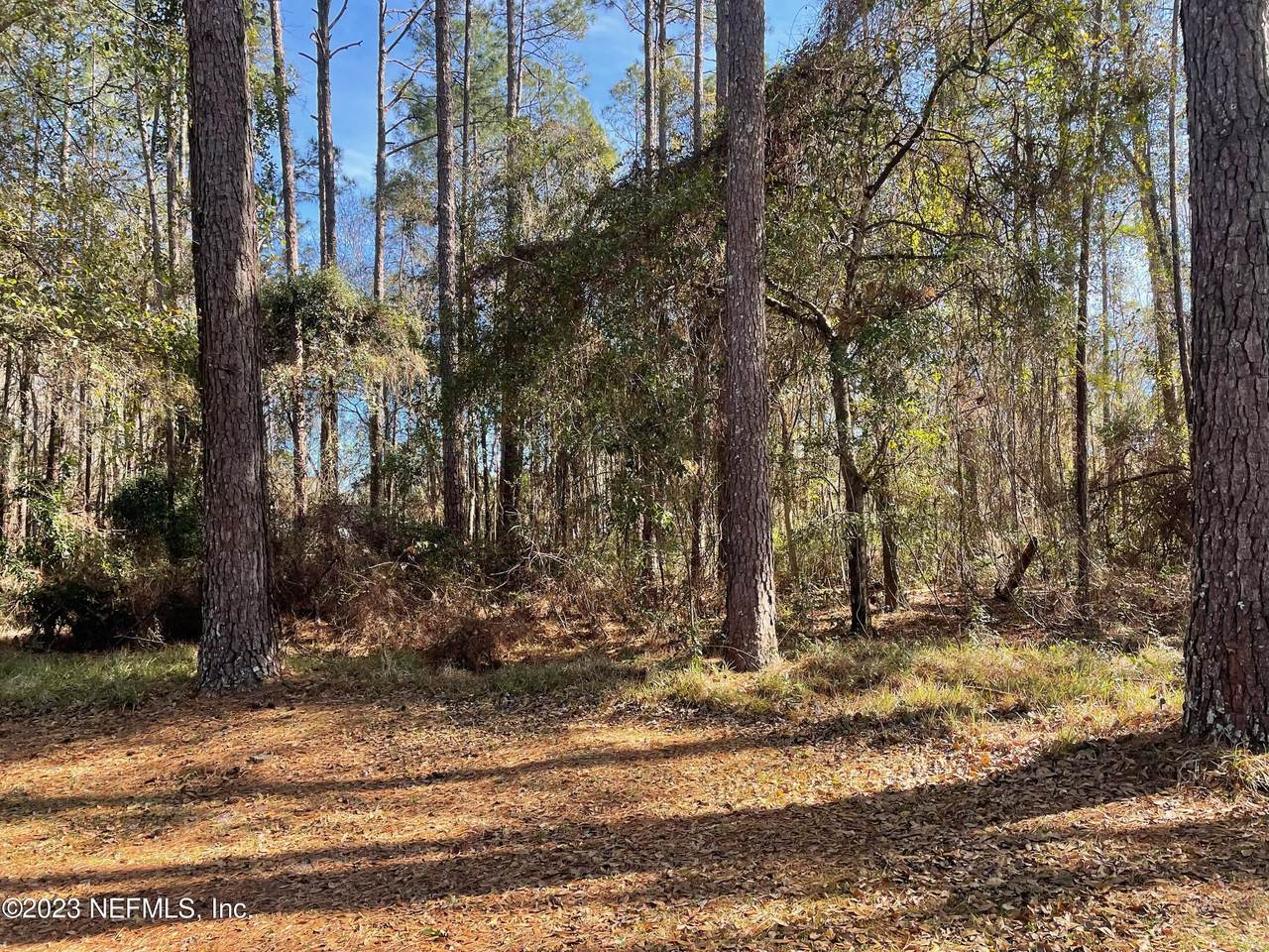 55047 Deer Run Rd - Photo 1
