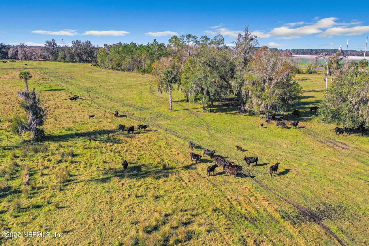 750 State Road 207 - Photo 1