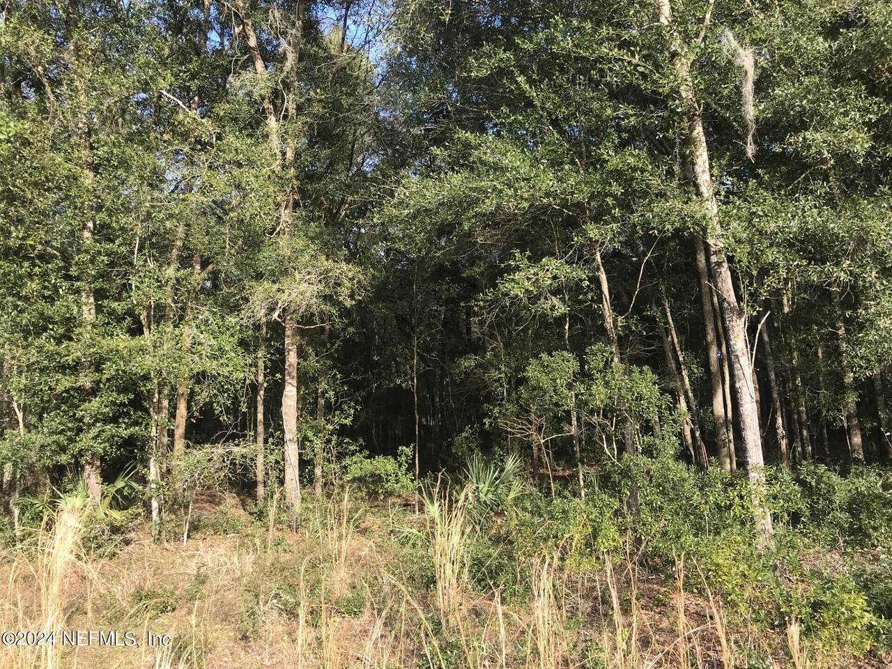 126 Idlewood Acres Road - Photo 1