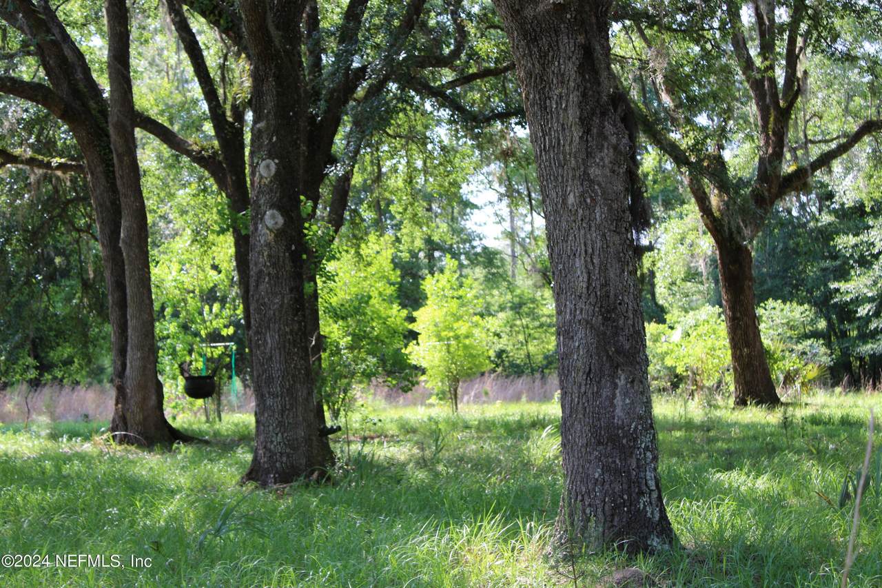 481218 Haddock Road, Hilliard, FL 32046 (MLS 2027394) Palm 3 Realty