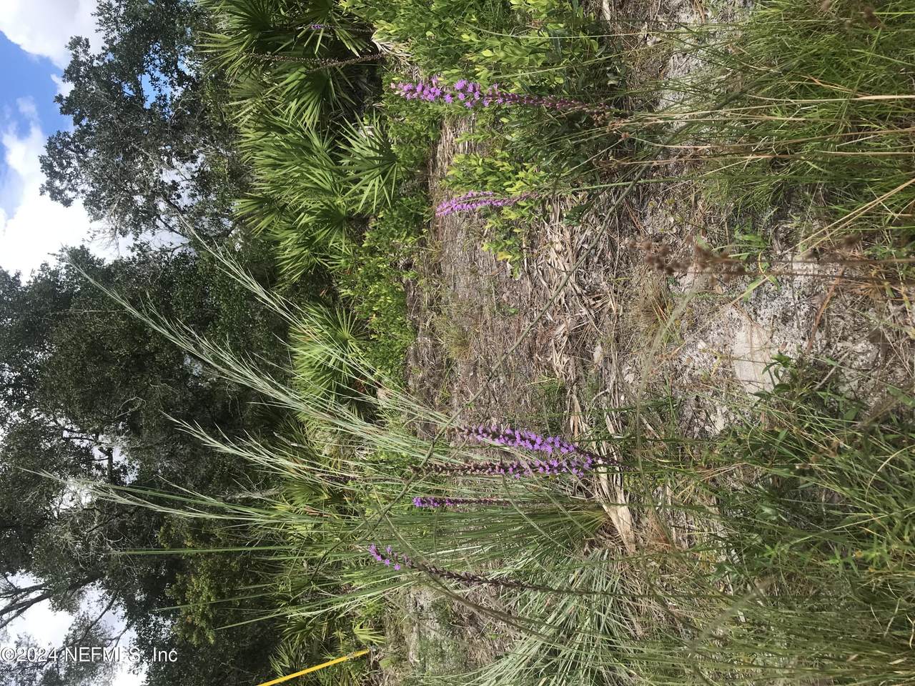 0 Summit Road - Photo 1