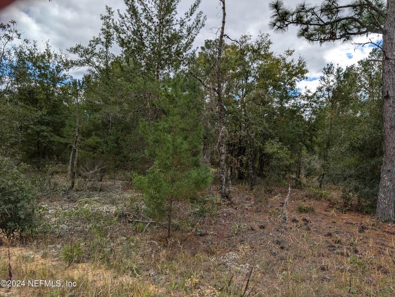 0200 Pine Way - Photo 1