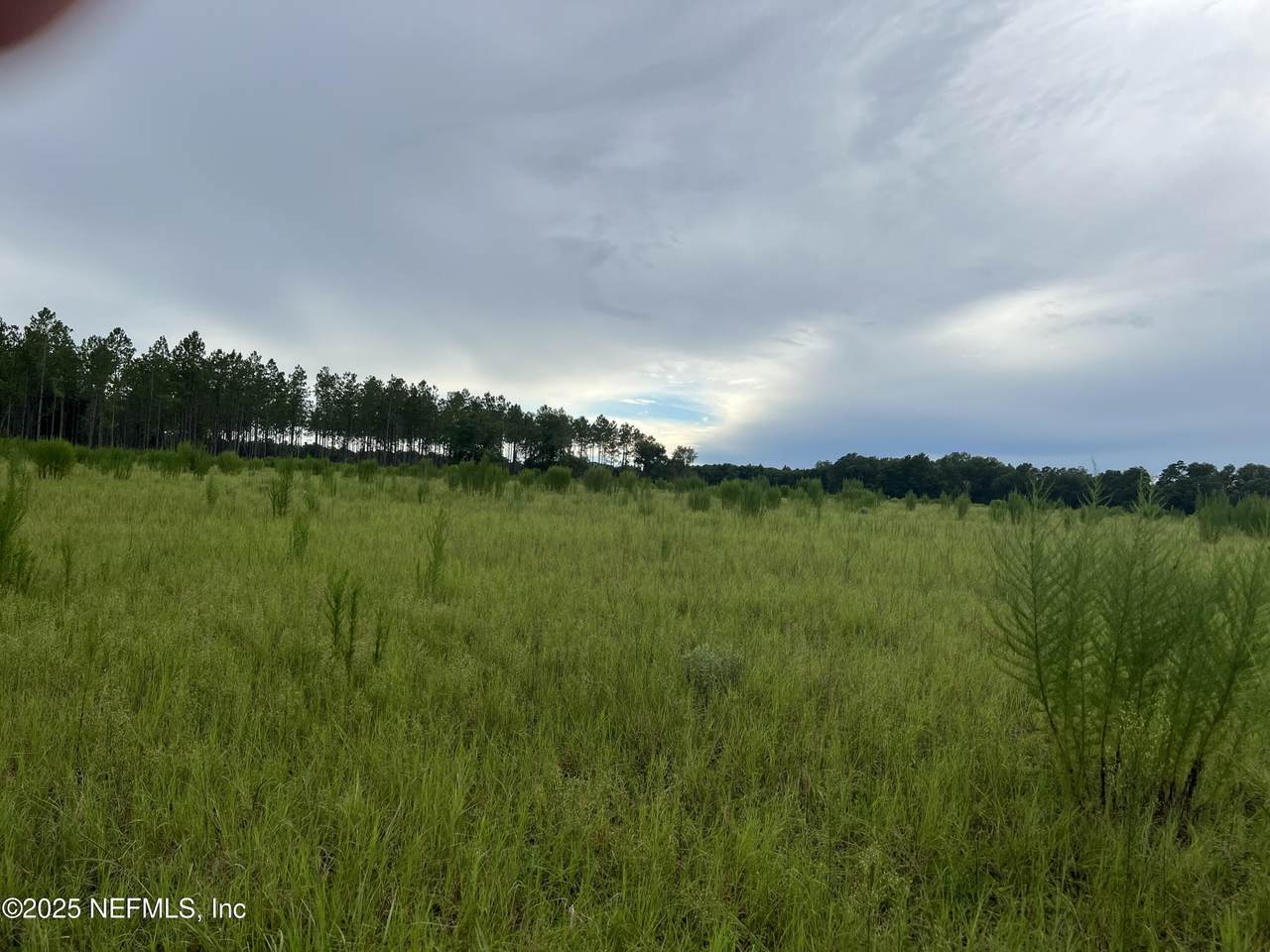 0 County Road 235 - Photo 1