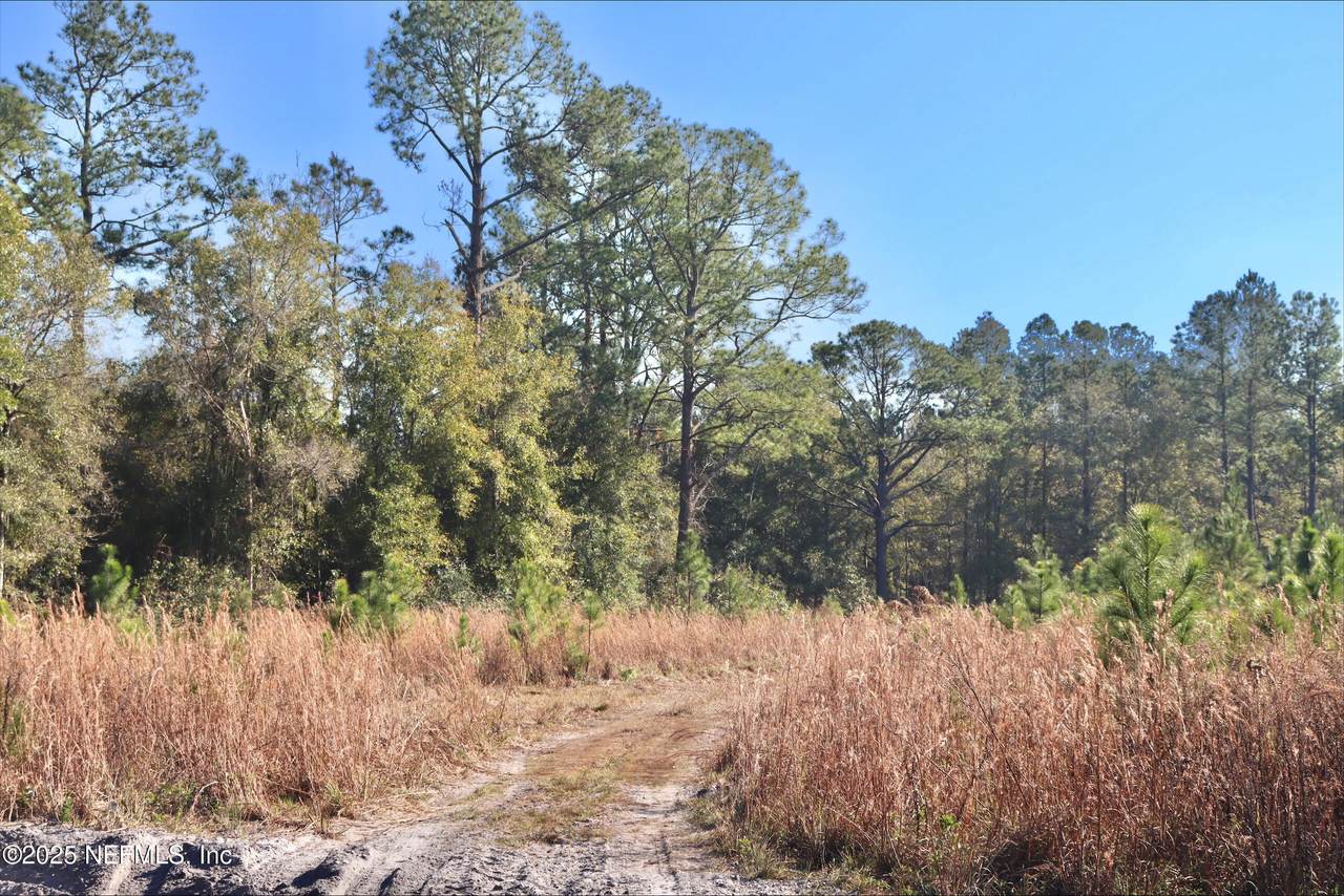 2989 Usina Road - Photo 1