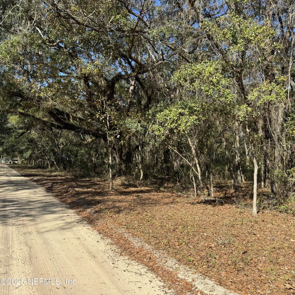 0 Chestnut Road - Photo 1