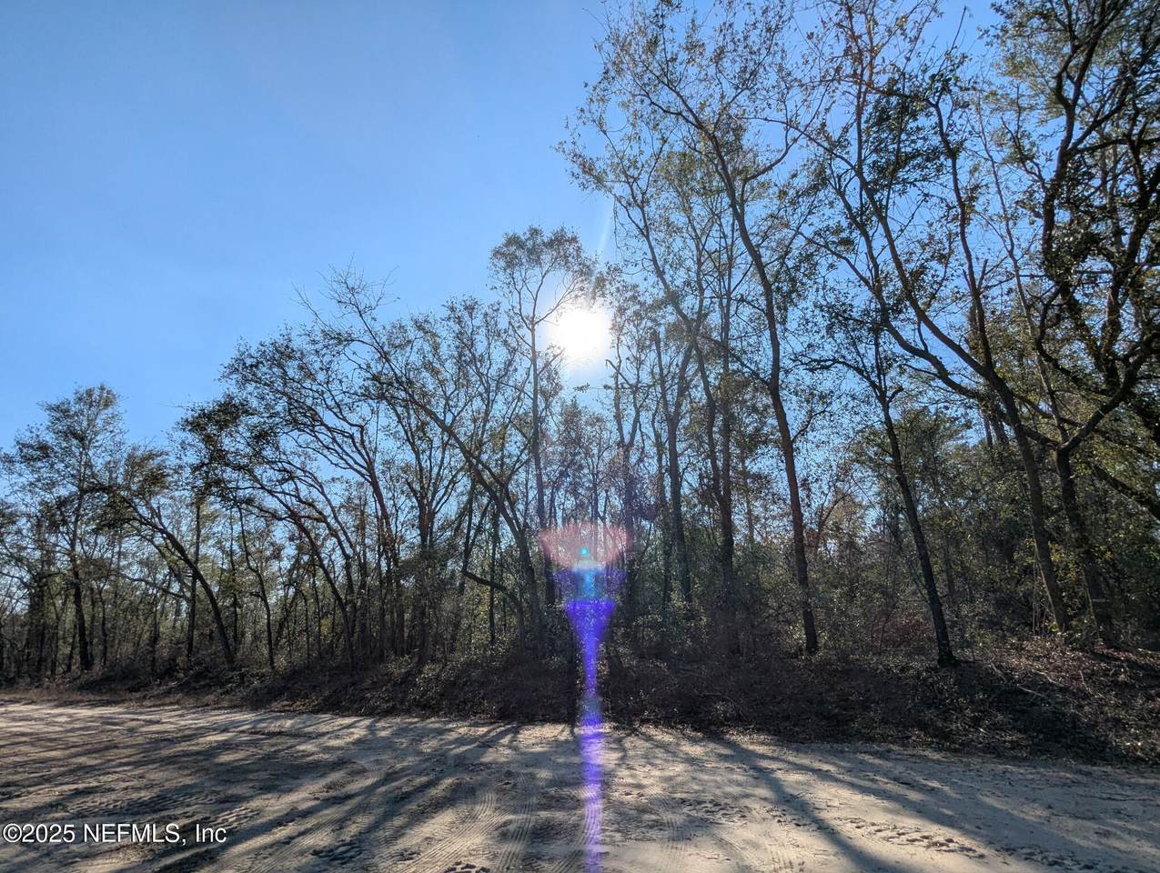 2589 58 Avenue - Photo 1