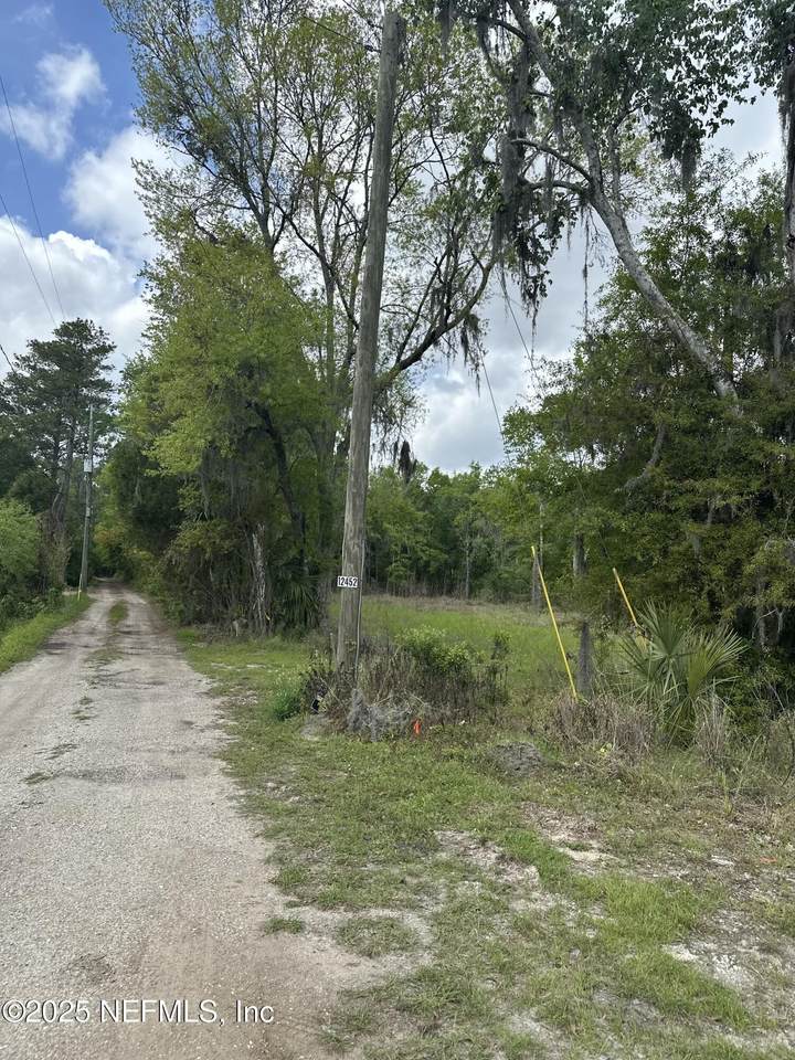 12452 Lem Turner Road - Photo 1