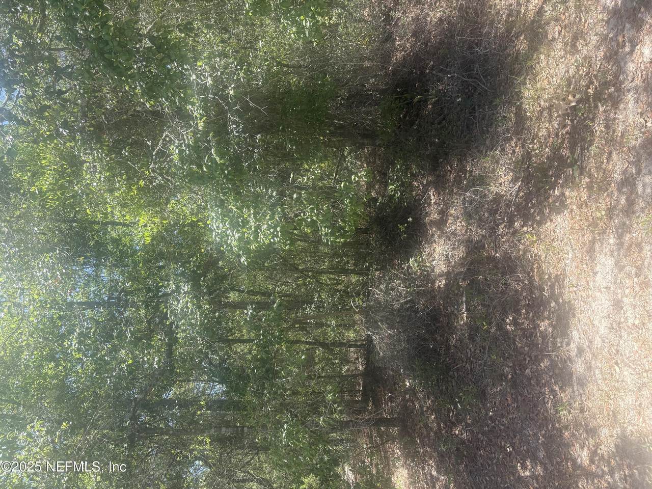 https://bt-photos.global.ssl.fastly.net/nefar/1280_boomver_1_2084356-2.jpg
