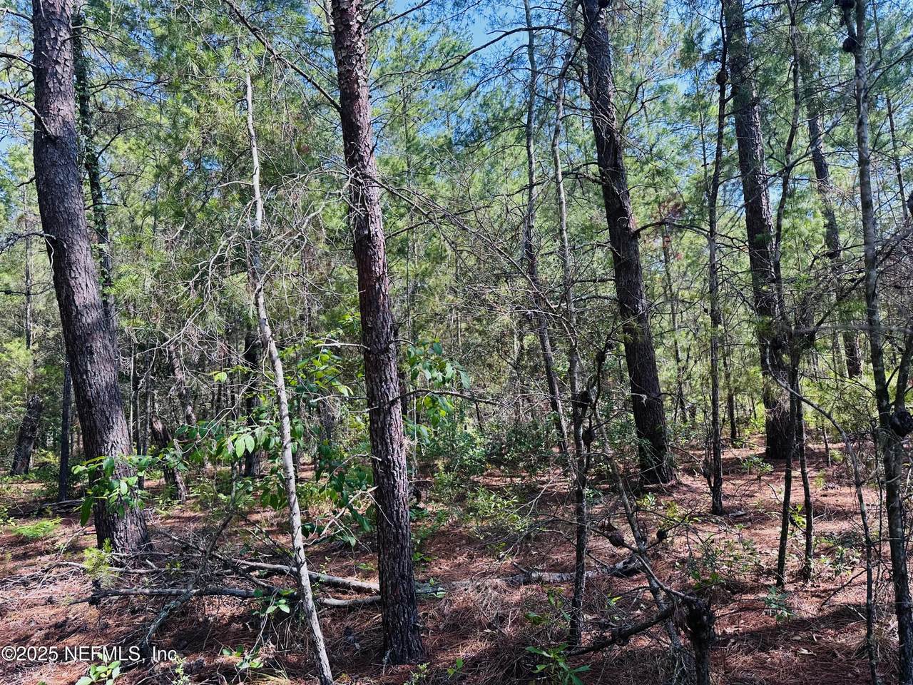 6044 Lehigh Circle - Photo 1