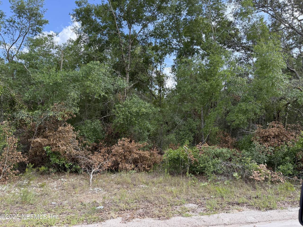 331 4TH Way - Photo 1