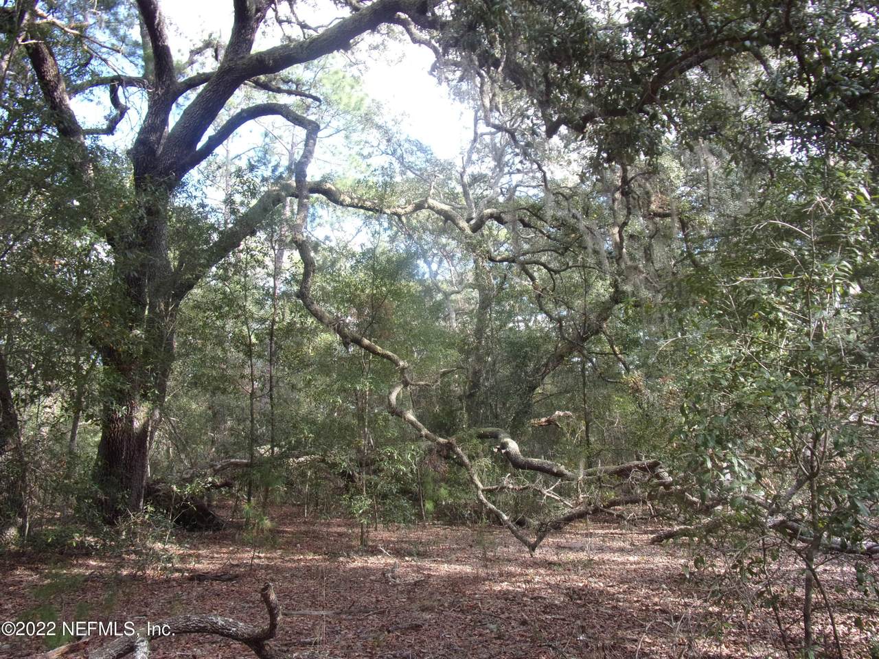 0 County Road 315 - Photo 1