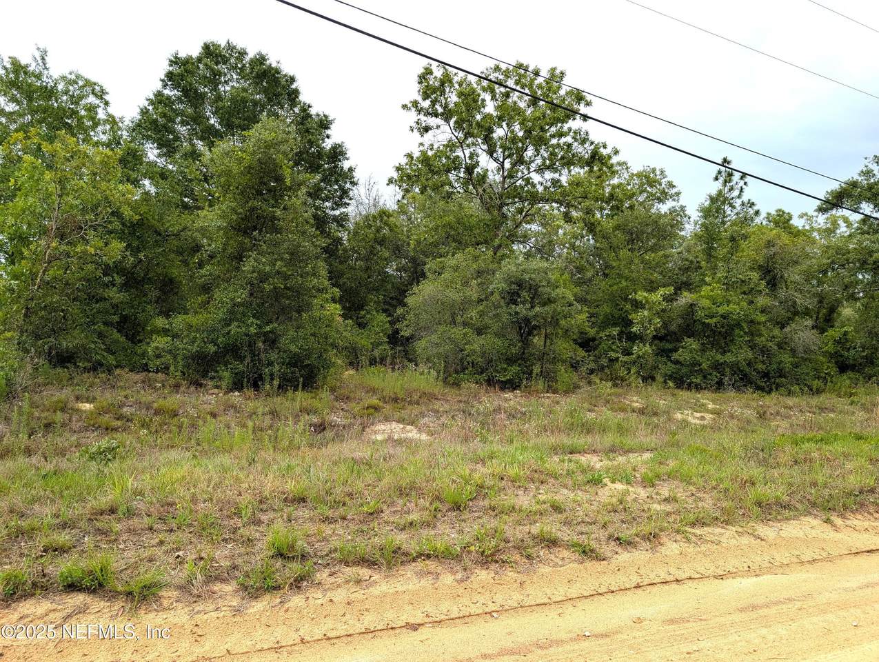 7631 Los Padres Avenue - Photo 1