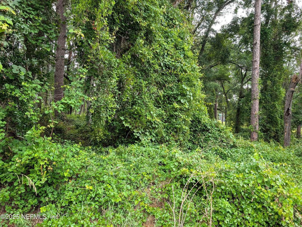 https://bt-photos.global.ssl.fastly.net/nefar/1280_boomver_1_2093980-2.jpg