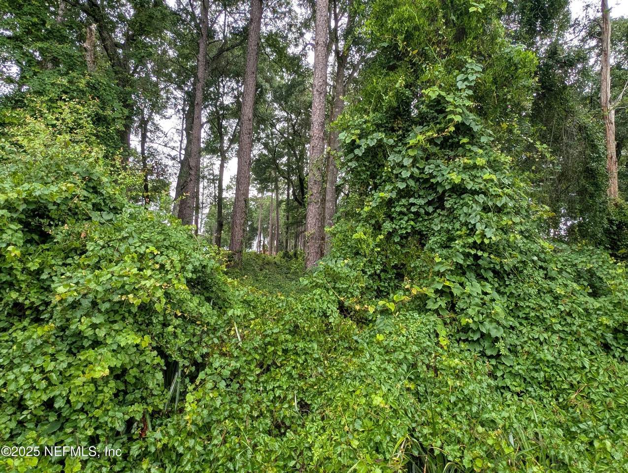 https://bt-photos.global.ssl.fastly.net/nefar/1280_boomver_1_2093980-2.jpg