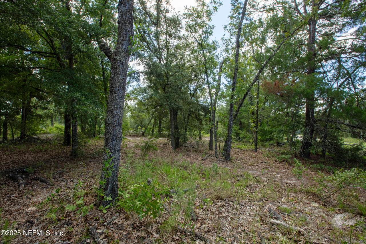 6015 Oak Leaf Road - Photo 1