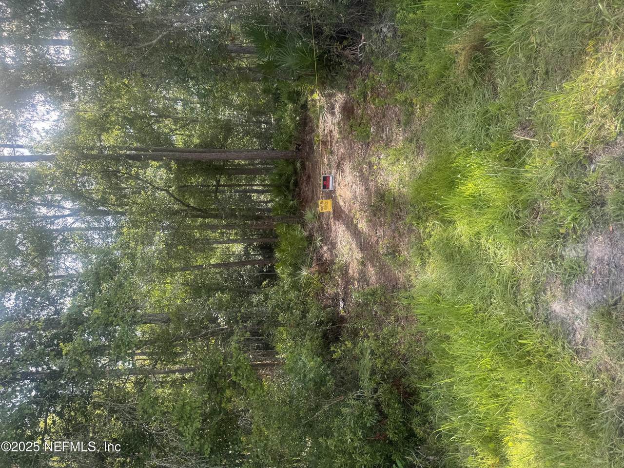 17804 1471 County Road - Photo 1