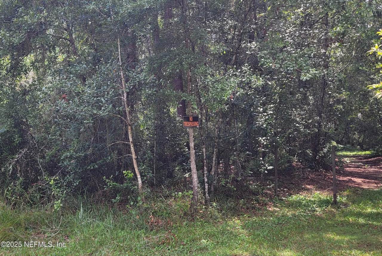 101 Beach Drive - Photo 1