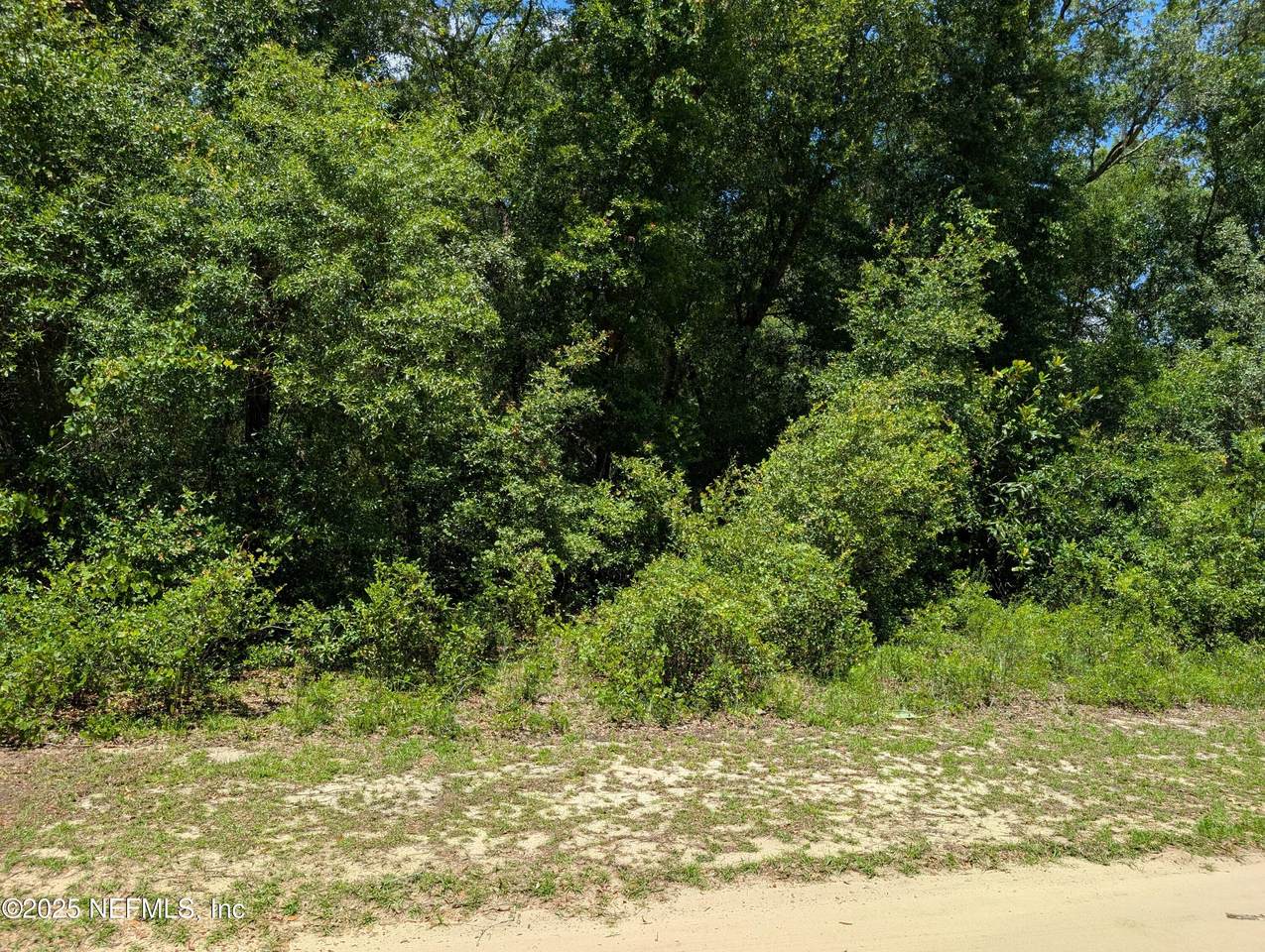 0-1550 Pine Road - Photo 1