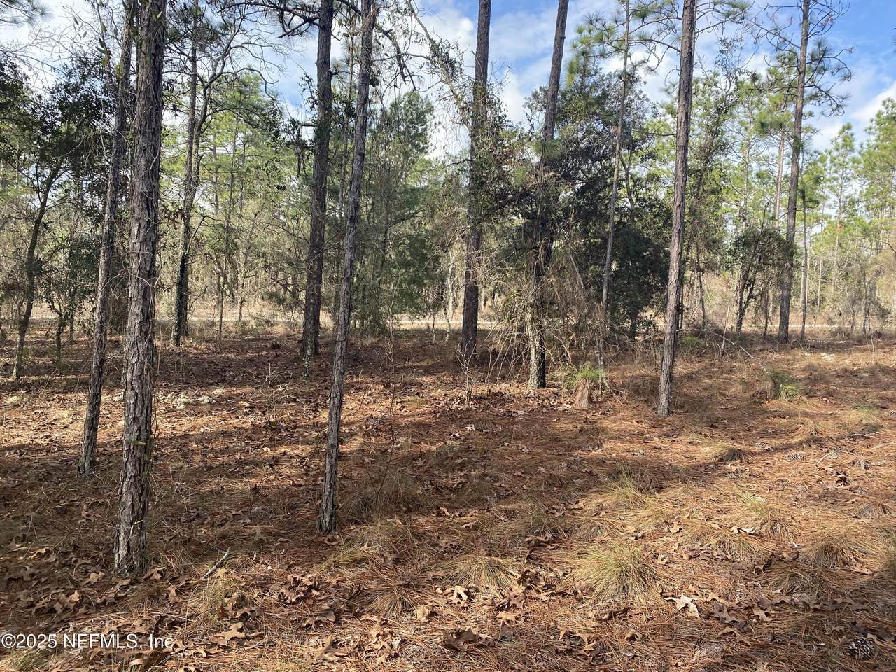 LOT 20 Sw Buena Vista Road - Photo 1